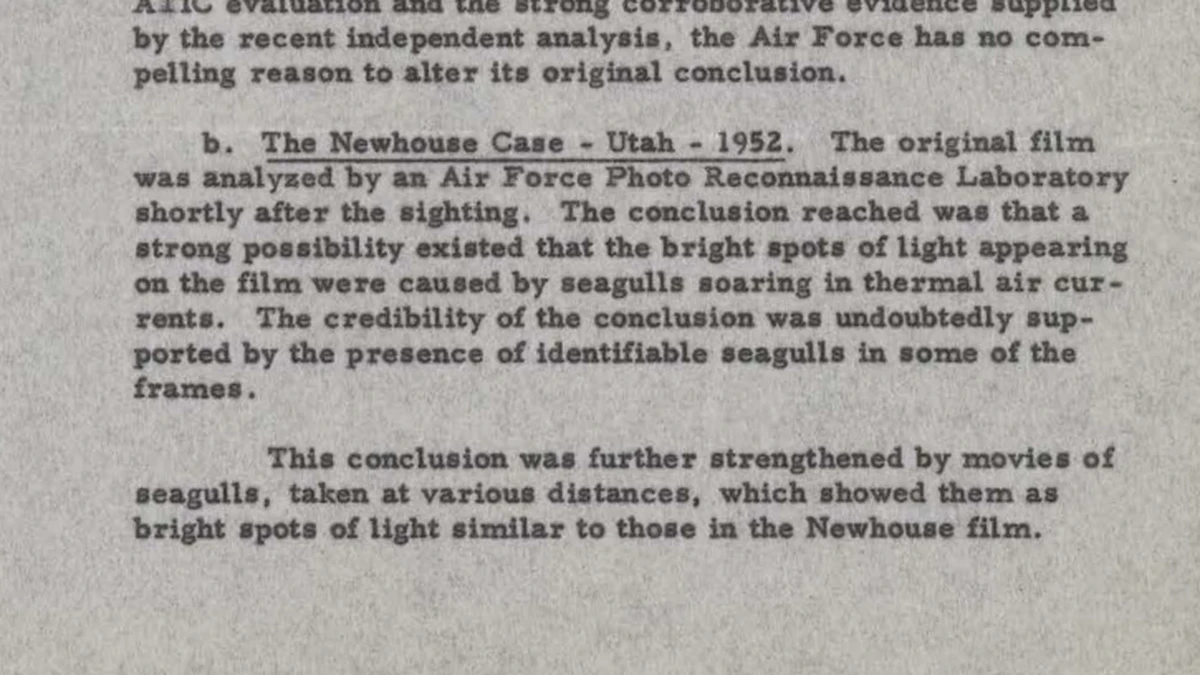 Typed 1 June 1956 Air Force memorandum page describing the Newhouse case and the seagull conclusion