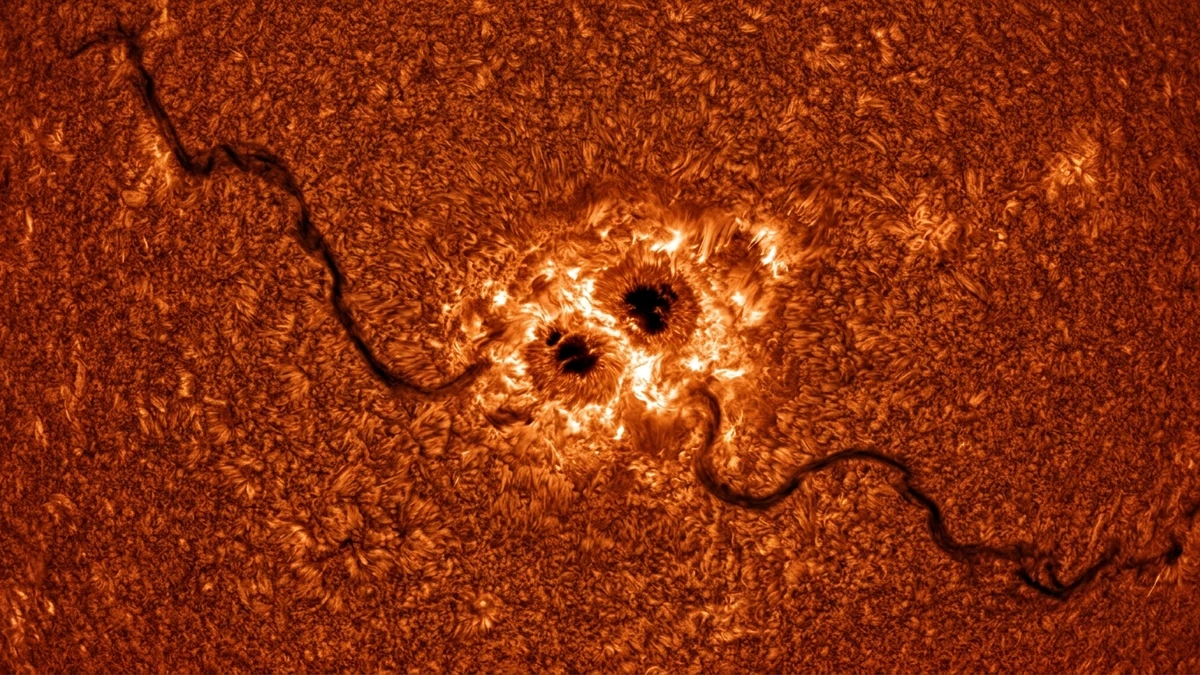 Hydrogen-alpha close-up of the Sun's surface showing an active region with bright plage, small sunspots and two long dark filaments